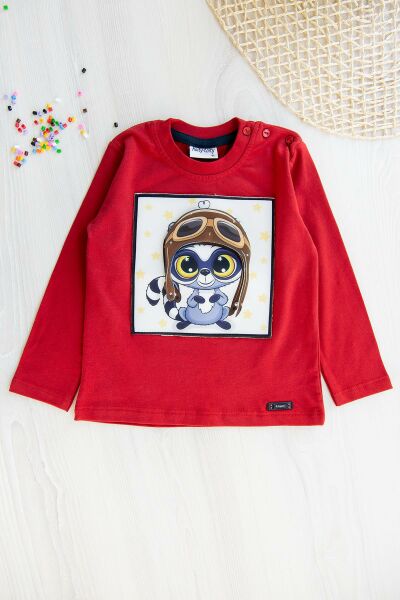 Sincap Figürlü Erkek Çocuk Sweat
