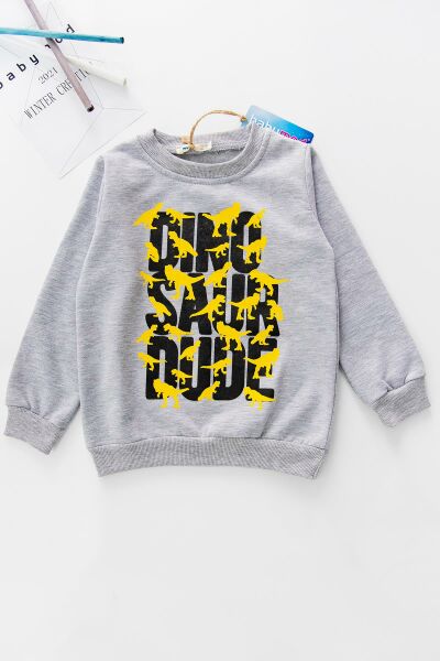 Dino Baskılı Erkek Çocuk Sweat