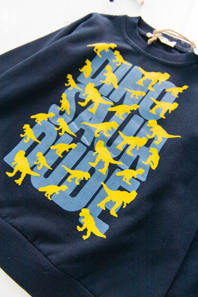 Dino Baskılı Erkek Çocuk Sweat
