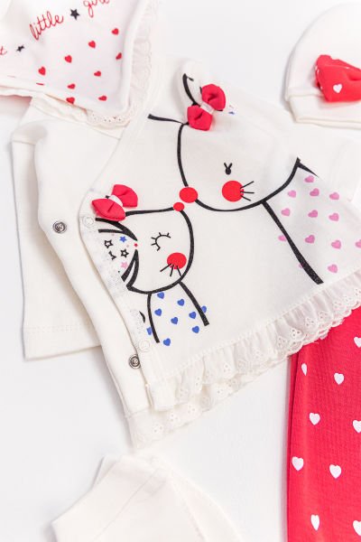Little Mouse 5 Parça Kız Bebek Hastane Çıkışı Bebek Takımı