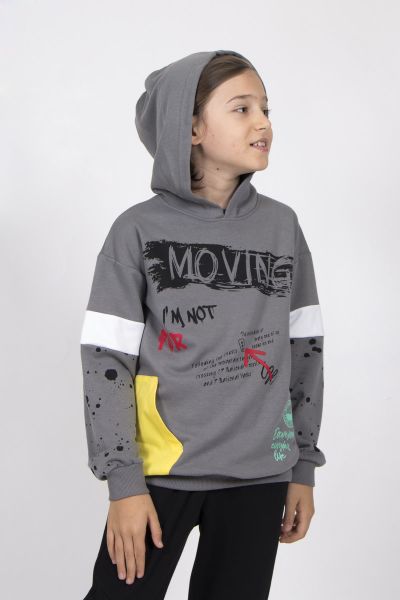 Erkek Çocuk Kapüşonlu Sweat